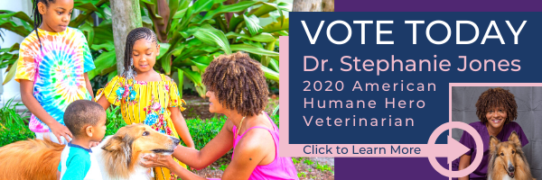 Vote for Dr. Stephanie Jones 2020 American Humane Hero Veterinarian