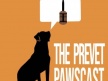 PreVet Pawscast: ‘Staying Power’ Feat. Dr. Stephanie Jones